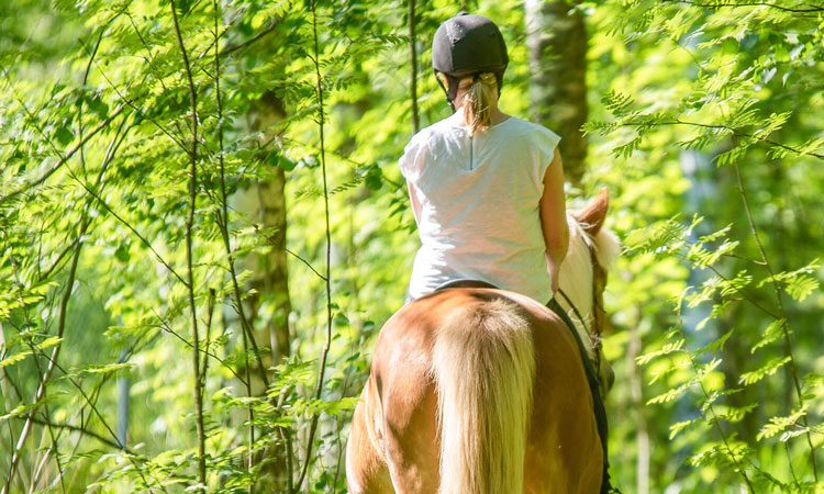 Équitation