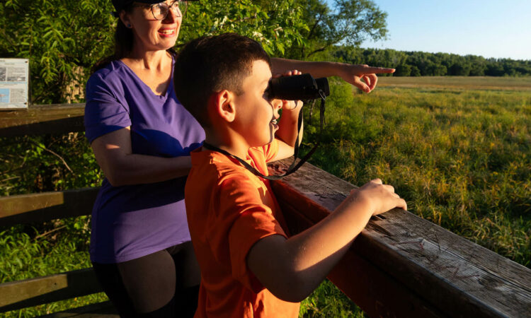 Observation de la nature