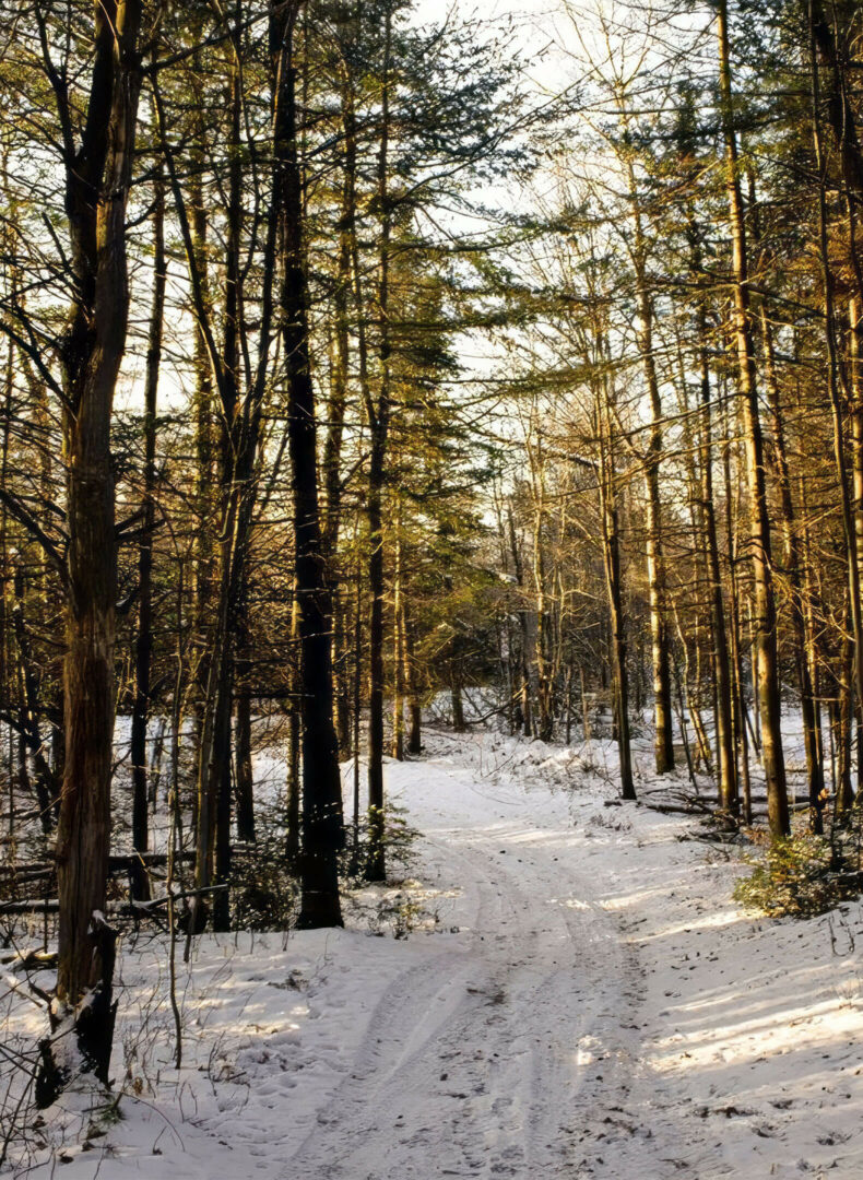 Parc de l&rsquo;imaginaire