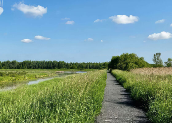 Sentier des Migrateurs