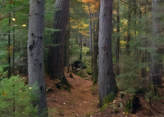 Tronçon Chute du diable - Sentier national de la Mauricie