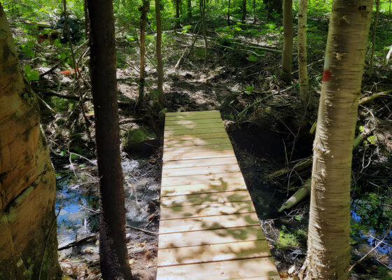 Tronçon Le Trappeur - Sentier national de la Mauricie