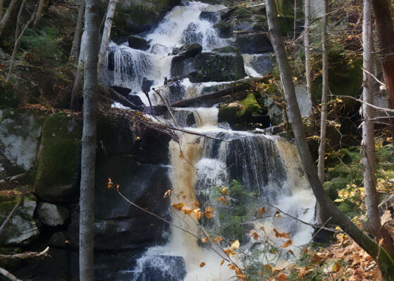 Tronçon Roland-Leclerc - Sentier national de la Mauricie