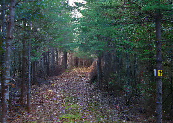 Tronçon Saint-Bernard - Sentier national de la Mauricie