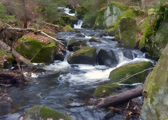Tronçon Vianney-Guillemette - Sentier national de la Mauricie